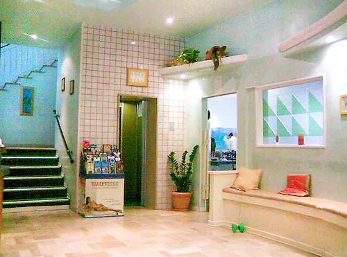 Sunshine Summer Hotel 3*