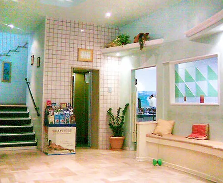 Holiday Hotel 3*