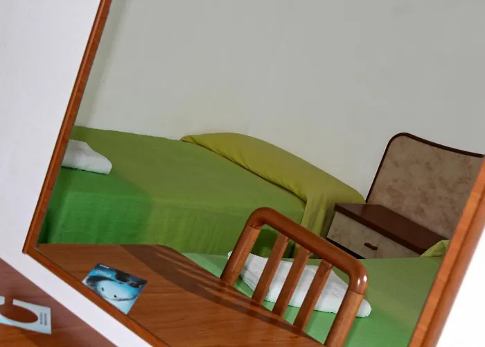 Sunshine Summer 米萨诺阿德里亚蒂科